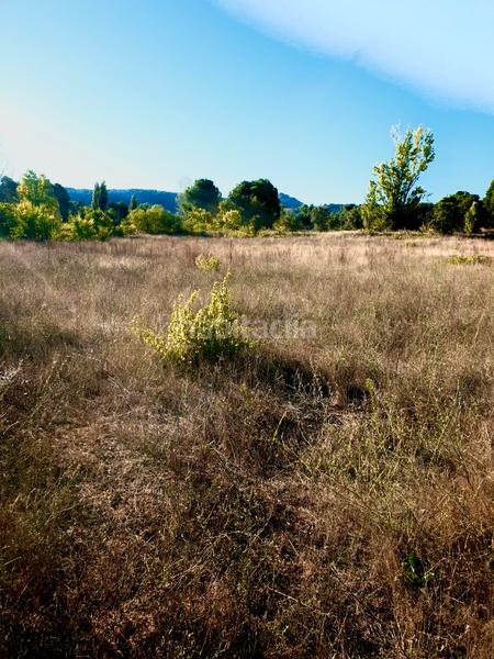 Foto 62d27c9a-2977-4897-82da-43930f5ff6e4. Landgut in Prosperidad Madrid