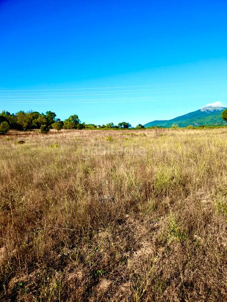 Foto 915d2186-fd3f-40d7-b8a6-4dbcc110cbf5. Landgut in Prosperidad Madrid