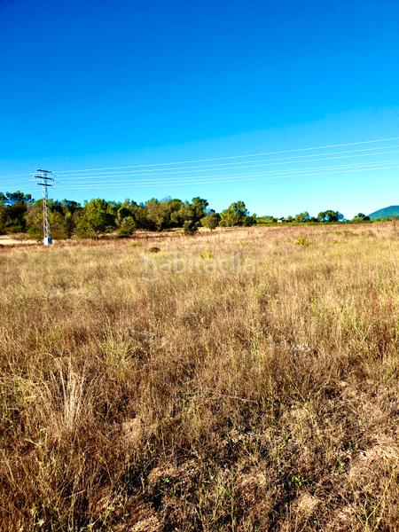 Foto b25998be-a127-4a1c-94c3-8b42a2976ca9. Landgut in Prosperidad Madrid