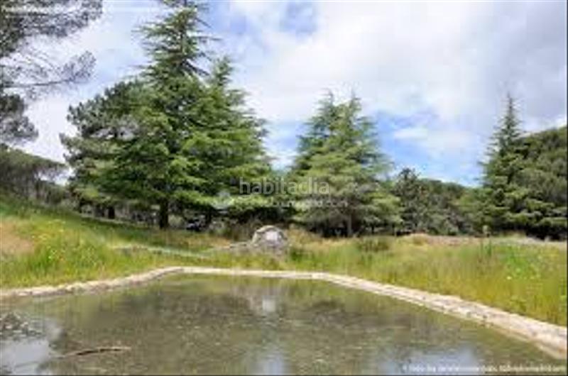 Foto 66008065-16ae-45e2-9b05-d6e3fa1b59cd. Finca rústica a Cadalso de los Vidrios