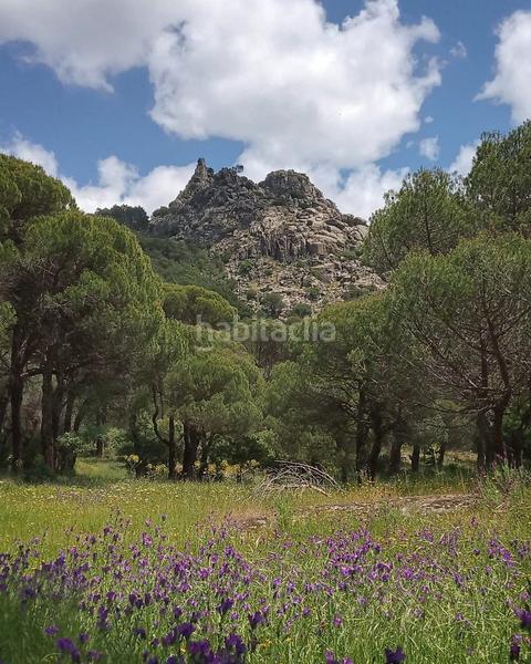 Foto 86df7372-ffaa-48d5-9a07-4b534c0b43b5. Finca rústica a Cadalso de los Vidrios