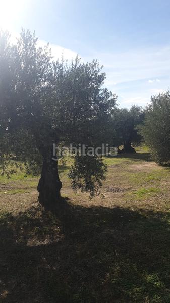 Foto 9cbaae94-0d9f-4562-9b58-8c78e9783368. Finca rústica a Cadalso de los Vidrios