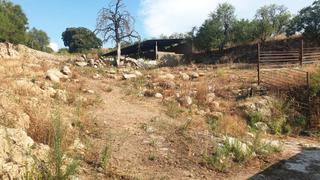 Finca rústica a Tiemblo (El). Se vende preciosa finca rústica en el tiemblo, apta para animale