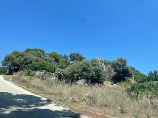 Residential Plot in Paseo del parque 24. Se vende estupendo terreno urbano en pelayos de la presa