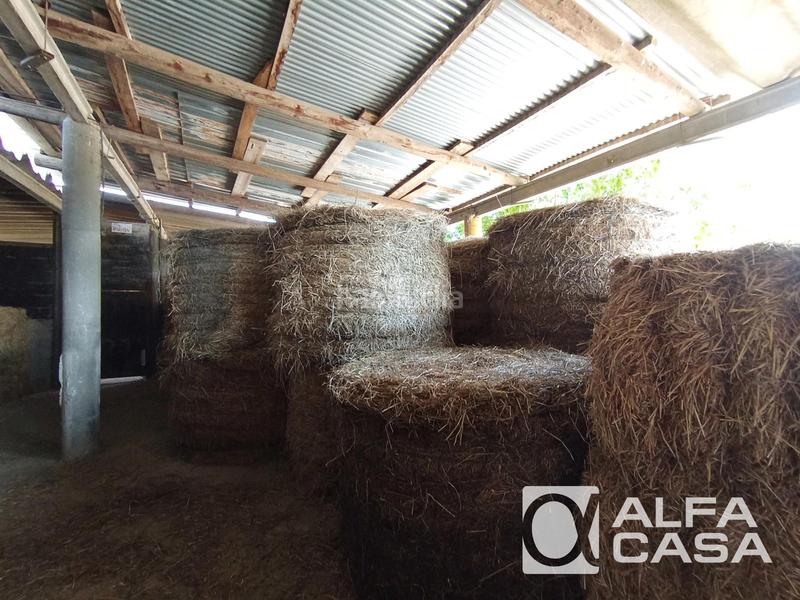 Foto 1b26b0f8-0704-482d-b89b-250cb29a5054. Chalet mit parking pool in Mas Mora-Sant Daniel Tordera