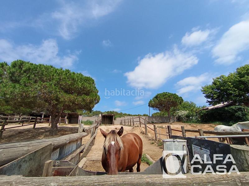 Foto c68b4deb-6d2f-4ee7-9671-52cf7bfddfd9. Chalet mit parking pool in Mas Mora-Sant Daniel Tordera