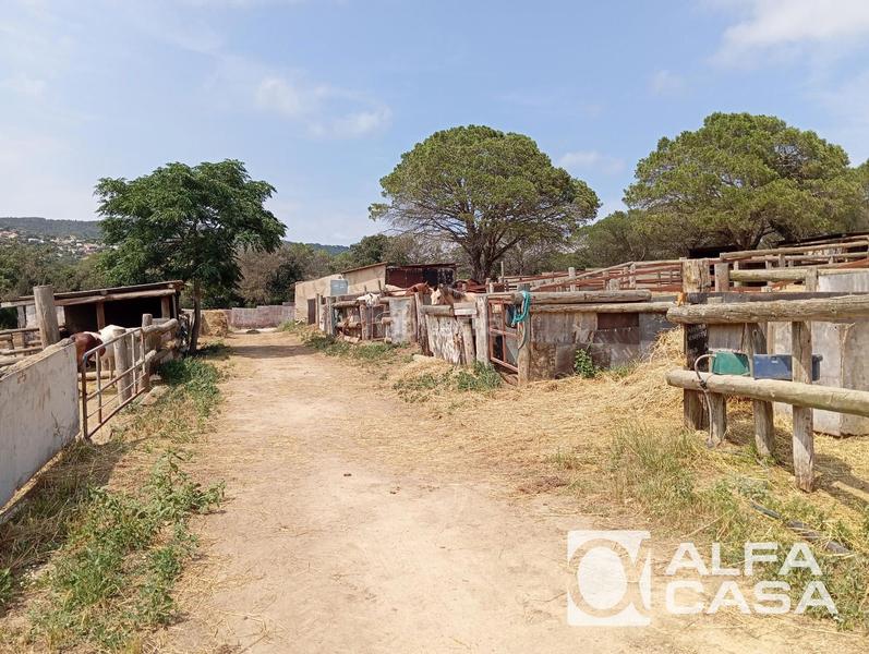 Foto cee7a144-4cc9-433c-91a2-a586a54ac744. Chalet mit parking pool in Mas Mora-Sant Daniel Tordera