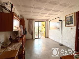 Pis a El Molí-El Rieral. Piso de 3 habitaciones en fenals, lloret de mar espacioso y lumi