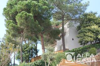 Chalet en Serra Brava. Un rincón de ensueño en serra brava donde el bosque se encuentra