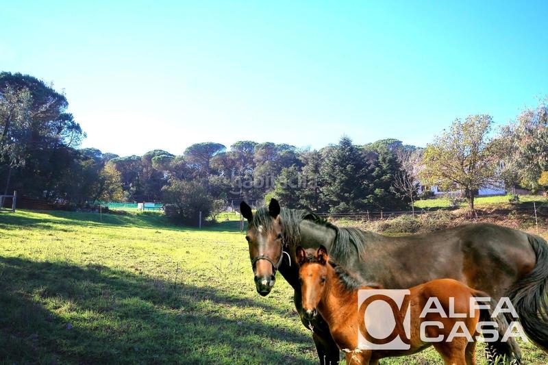 Foto 54ee8447-433b-4c31-8b15-0c0fe0d4bcc9. Casa masía con amplio terreno y encanto rural en Maçanet de la Selva poble Maçanet de la Selva