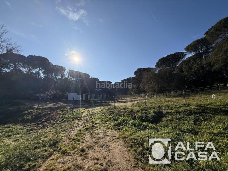 Foto a08a0228-7cf6-40d6-89cf-7c5bbb91b021. Casa masía con amplio terreno y encanto rural en Maçanet de la Selva poble Maçanet de la Selva
