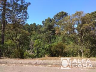 Finca rústica  Les sureres. Terreno en venta puigventós vidreres