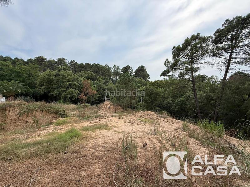 Foto 52256ca8-59bf-415b-80e1-2f2b00fc8551. Fondo rustico in Terrafortuna - Puig Ventós Vidreres
