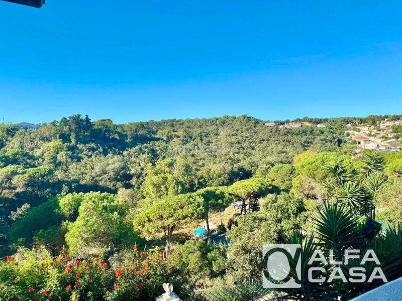 Foto 515d4bd6-3b55-481c-9cf7-ff390a5567c2. Casa amb calefacció a Lloret Verd - Els Pinars Lloret de Mar