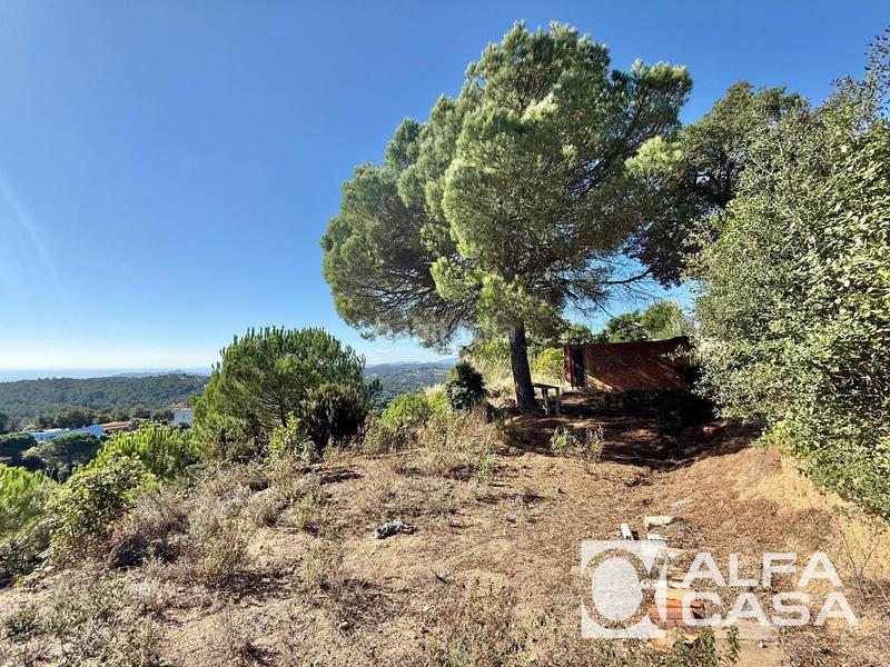 Foto 6e6386d3-25b3-46ce-873e-4ade880c12e9. Finca rústica terreno en venta en Lloret Residencial - Montlloret Lloret de Mar