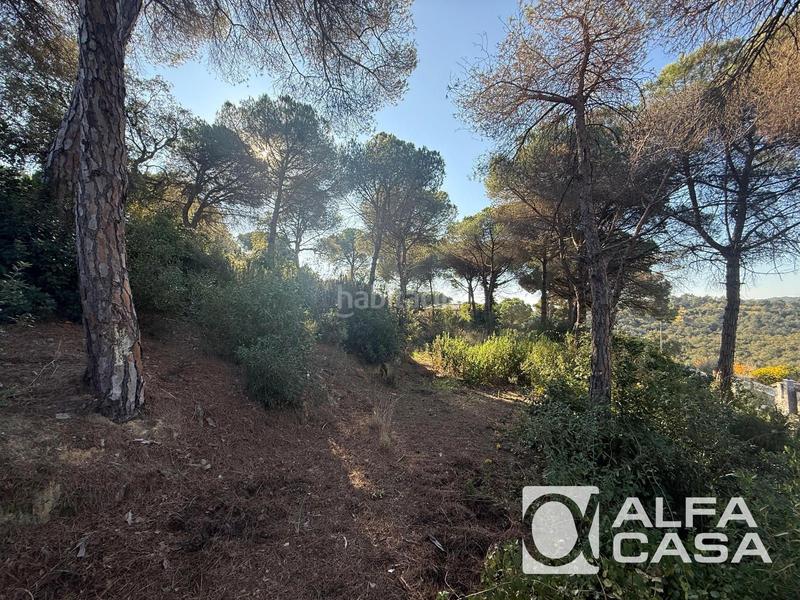 Foto b37955a7-0727-4778-88e7-89f1b958b0e7. Finca rústica terreno en venta , els pinars en Lloret Verd - Els Pinars Lloret de Mar