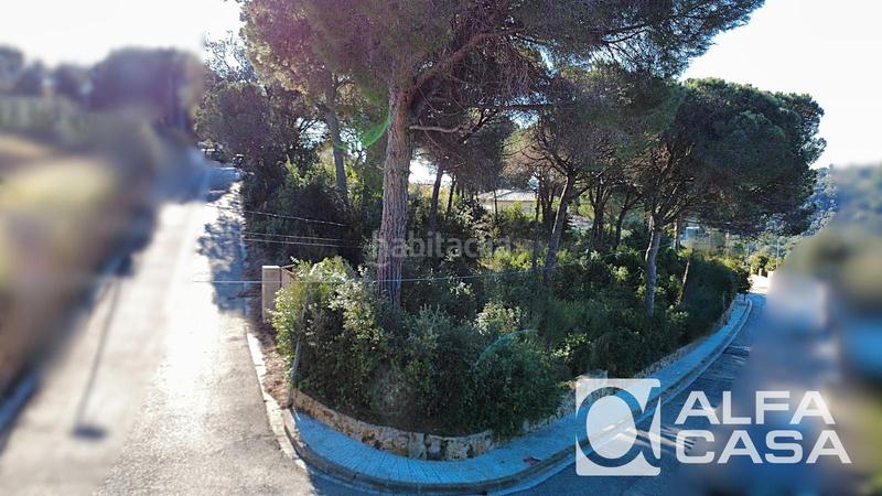 Foto b93debe2-3cba-4e24-bed4-60bc8d4f8770. Finca rústica terreno en venta , els pinars en Lloret Verd - Els Pinars Lloret de Mar