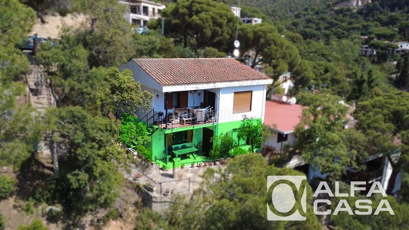 Foto 395fa9a5-c743-492a-81d0-9940fb446f93. Pis a Centre Lloret de Mar