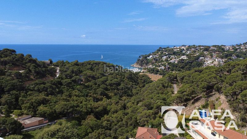 Foto 4301d56d-3339-4d90-a327-d4e26da9c7cf. Pis a Centre Lloret de Mar