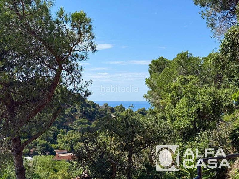 Foto c2c5bafa-0f0d-49fc-bba0-ae1e80fe30bb. Pis a Centre Lloret de Mar