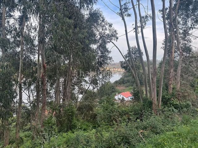 Foto 543d6a28-8cc0-4545-8206-1fe8e3759808. Terreny residencial a Mugardos