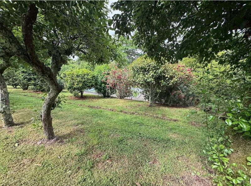 Foto 9243ef55-3c85-4d0f-8896-24149ce80066. Casa amb xemeneia calefacció aparcament a Parroquias de Santiago Santiago de Compostela