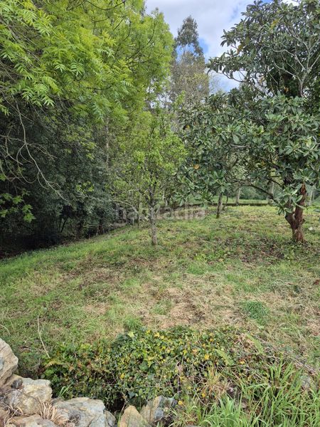 Foto 2351d767-5ed3-4dcd-a63d-191eabbe09d3. Masia amb xemeneia aparcament a Somozas (As)