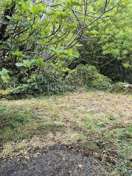 Foto 80d6fc94-3481-44f1-a0c8-e46e5709184d. Masia amb xemeneia aparcament a Somozas (As)