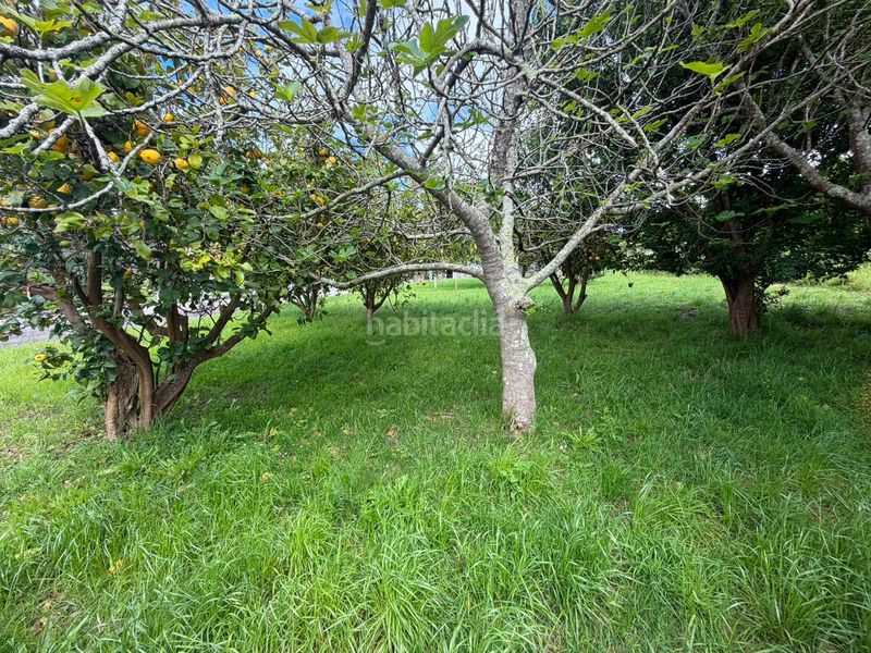 Foto d2aeb7d9-a476-4246-8437-8559e94ff1dd. Casa pareada en Neda