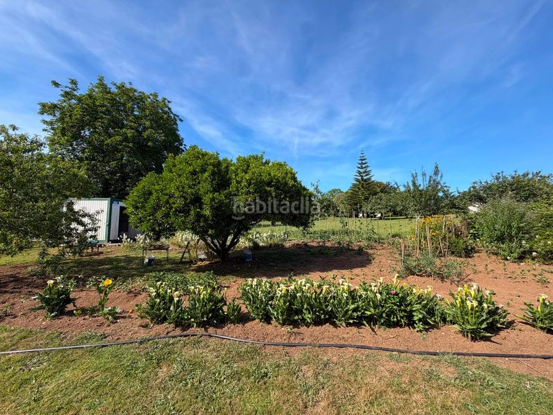 Foto af7d59be-2d8a-434a-82b4-10335a511c76. Finca rústica a Fene