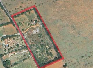 Masia  Polgono 17 parcela 163 son gat. sencelles (illes. Terreno rstico urbanizable con construccin