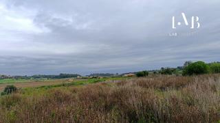 Finca rústica  Polígono poligono 5 parcela 39 femenia santa margalida. Magnífica parcela en venta a 5 minutos de can picafort y sus pla