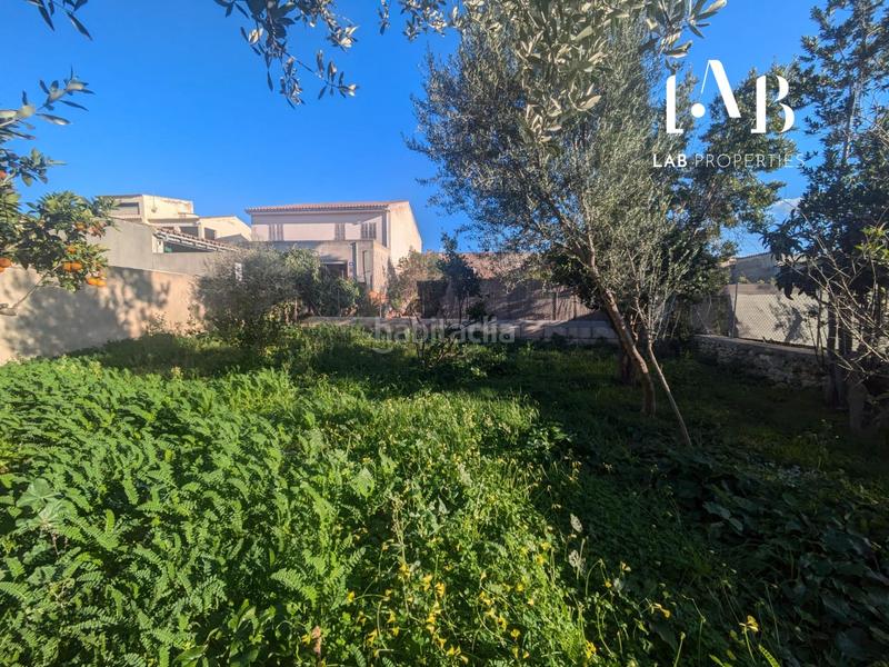 Foto 4d54307d-c3d3-4d9f-9eb5-2c8ef69b3287. Terreno residenziale in Campanet