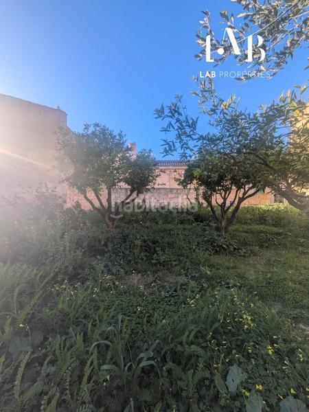 Foto 6fcb8771-8621-46e4-a4ab-00a63f101574. Terreno residenziale in Campanet