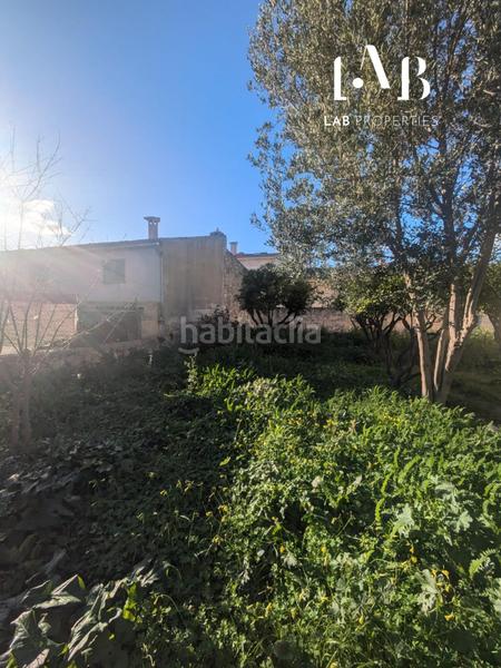 Foto 7d9dc3e9-2bc4-4ce6-9dbe-adff76494ee0. Terreno residenziale in Campanet
