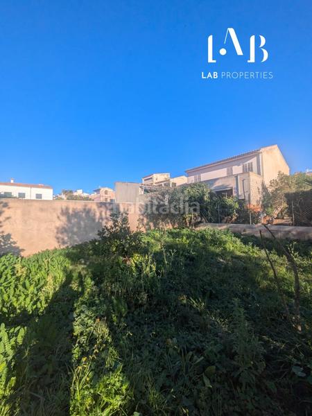 Foto cc208bab-e8f8-457d-9eb9-8a8d14e93d25. Terreno residenziale in Campanet