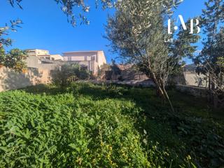 Terreny residencial  Lluna. Solar urbano en campanet