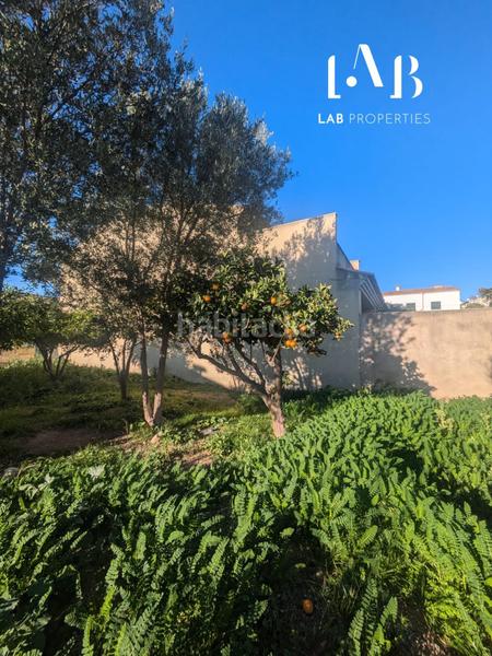 Foto dbc3e26c-667a-4ea5-85c7-cc6d83f0deec. Terreno residenziale in Campanet