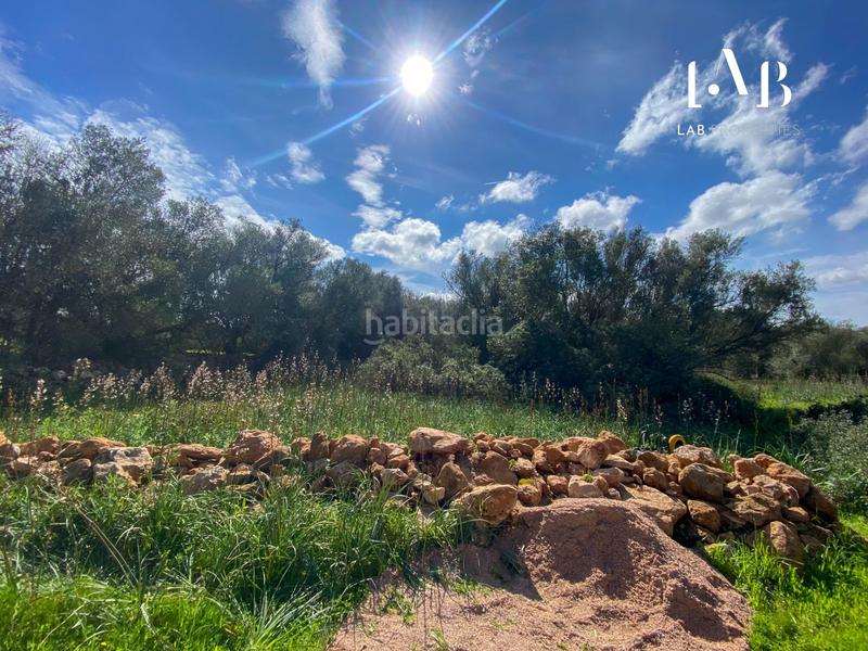 Foto 35493198-899a-488a-823f-d2347e76ffee. Terreno residenziale in Algaida