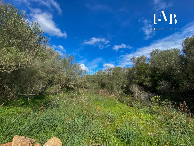Foto 55daaf4d-711f-402d-ae68-ddf490f223dd. Wohngrundstück in Algaida