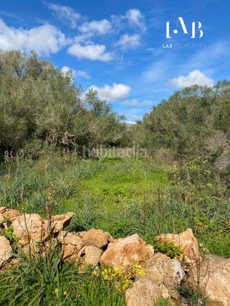 Foto 73a93daf-2bd5-4b27-992e-6c27dd410993. Terreno residenziale in Algaida