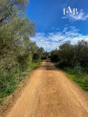 Terreny residencial  Camino polígono 3 parcela 4 es rafalet. algaida (illes b. Espacioso solar edificable en zona rural de algaida