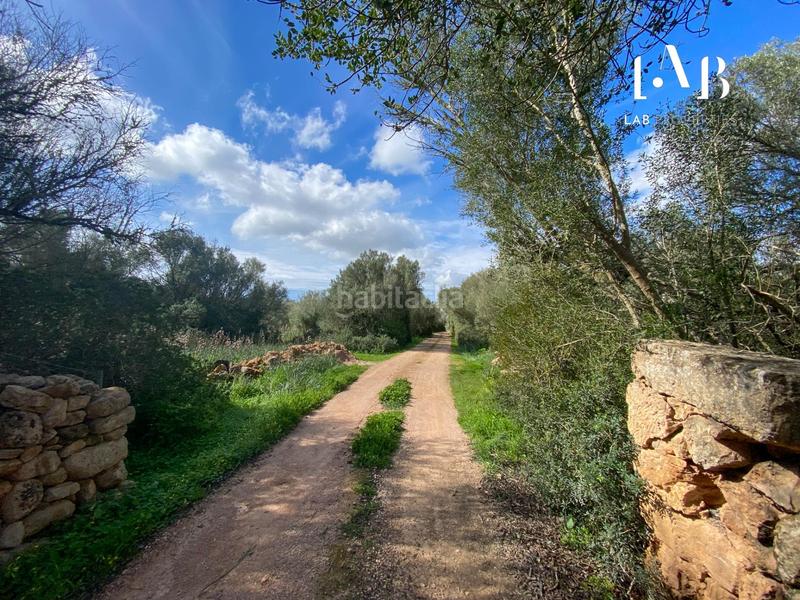 Foto 771dee60-e89d-4982-a196-32d8717f5df8. Terreno residenziale in Algaida