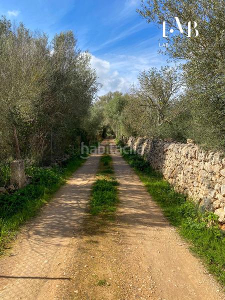 Foto 7c4edfd2-ed87-4185-ab02-a101fb6cc274. Terreno residenziale in Algaida