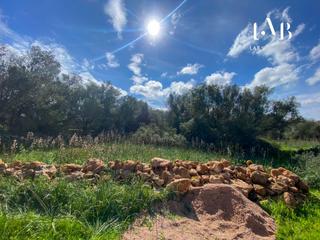 Residential Plot  Camino polígono 3 parcela 4 es rafalet. algaida (illes b. Espacioso solar edificable en zona rural de algaida