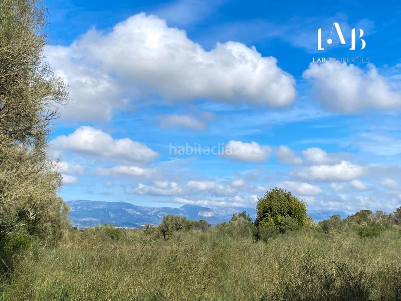 Foto de0e0f0a-ad3b-4352-aea7-d26296076218. Wohngrundstück in Algaida