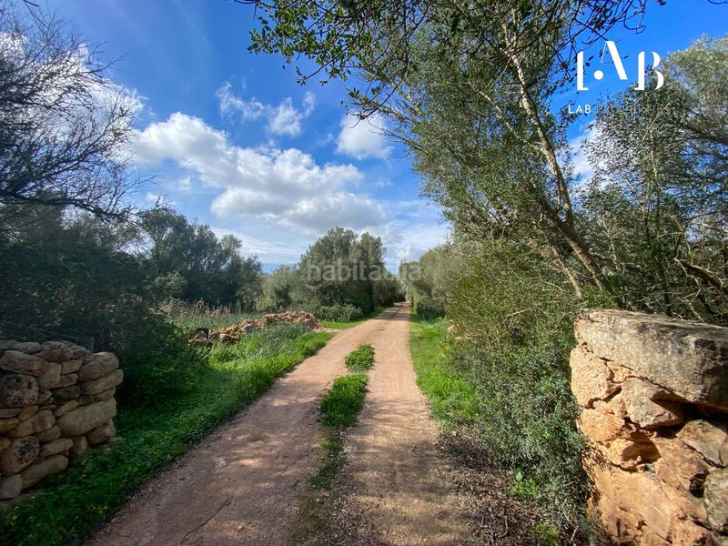 Foto 4d52d1df-a55d-46fd-aa94-6d8f2831b2ef. Terreny residencial a Algaida
