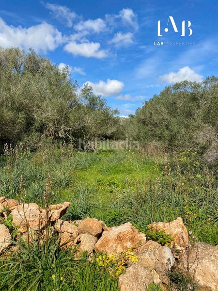 Foto 7a71e609-718a-47ff-80a9-50aa40fdaf75. Terreny residencial a Algaida