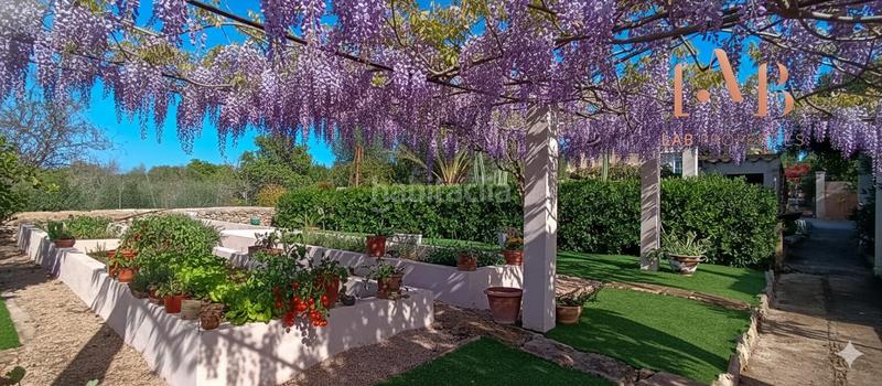 Foto 3a047946-9cd6-4d7c-9a8c-37036c9edd12. Mas avec parking dans Pòrtol Marratxí