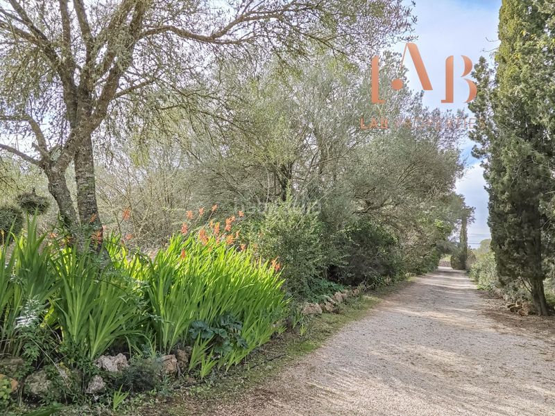 Foto 5c7701e2-d6b8-4b14-9ae3-3a23322a601e. Casale con piscina in Algaida
